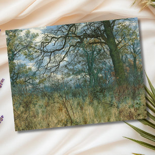 Trees and Undergrowth – William Fraser Garden Postcard