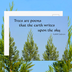 Trees are Poems Kahlil Gabran Quote Photographic Postcard