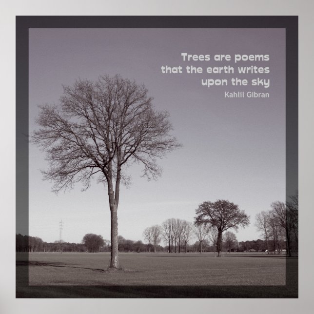 Trees are poems poster (Front)