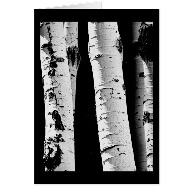 Trees Aspen Black and White Blank Greeting Card (Front)