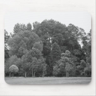 Trees at Bute Park, Cardiff - BW Mouse Pad