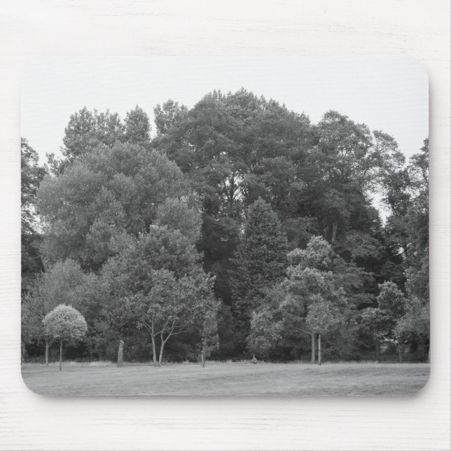Trees at Bute Park, Cardiff - BW Mouse Pad (Front)