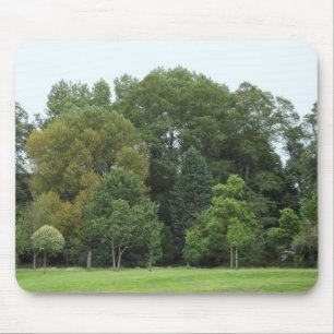 Trees at Bute Park, Cardiff Mouse Pad