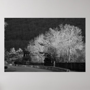 Trees at Lehigh Gorge State Park Poster