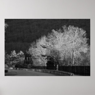 Trees at Lehigh Gorge State Park Poster