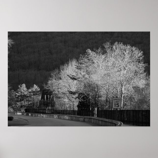 Trees at  Lehigh Gorge State Park Poster (Front)