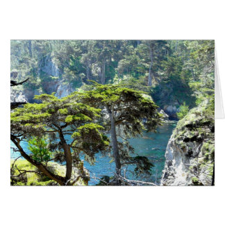 Trees at Point Lobos