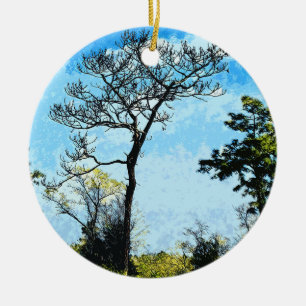 Trees At The Julington-Durbin Preserve Florida Ceramic Ornament