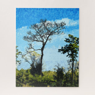 Trees At The Julington-Durbin Preserve Florida Jigsaw Puzzle
