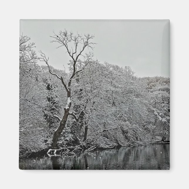 Trees, at the water magnet (Front)