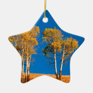 Trees Autumn Aspen Yellowstone Wyoming Ceramic Tree Decoration