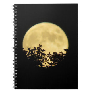 Trees backlit by the full moon notebook