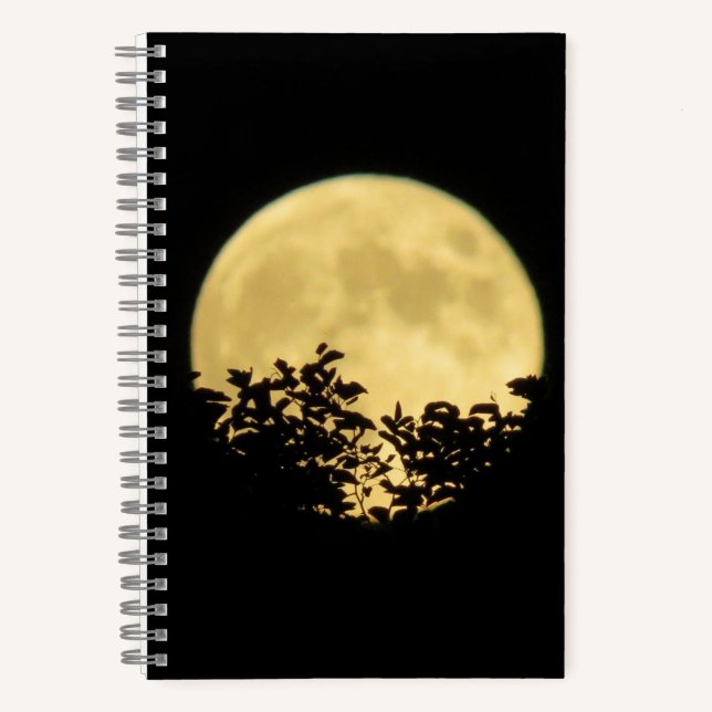 Trees backlit by the full moon notebook (Front)