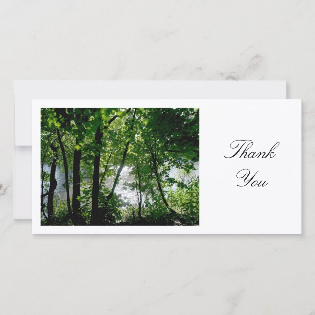 Trees by a River - Thank You Card (Front)