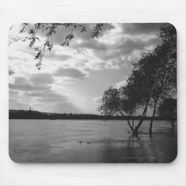 Trees by lake B&W Mouse Pad (Front)