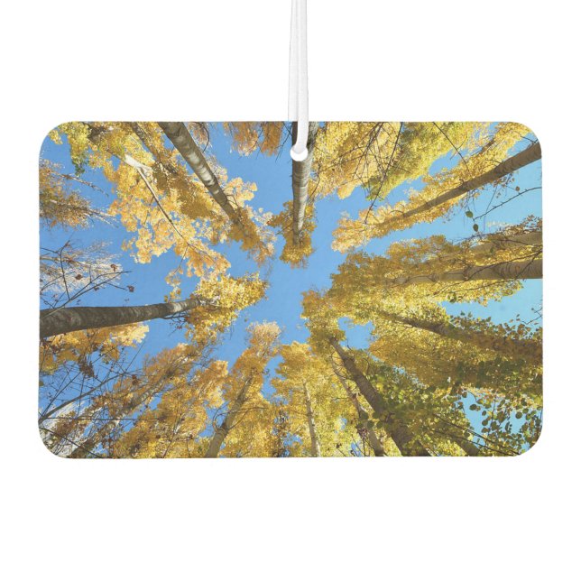 Trees Car Air Freshener (Front)