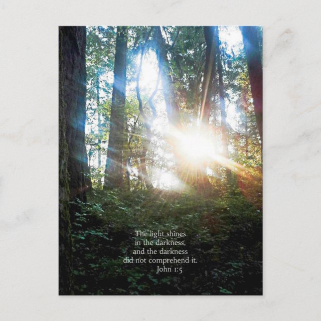 Trees Christian Bible Verse Scripture Creationarts Postcard (Front)