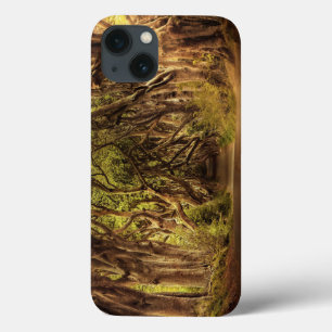 Trees Covering Road in Northern Ireland iPhone 13 Case