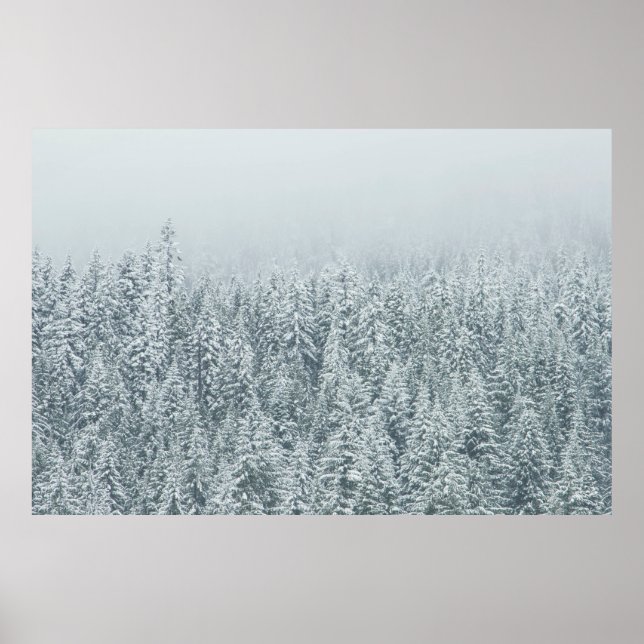 TREES COVERING SNOW POSTER (Front)