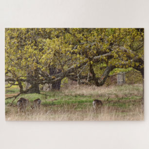 Trees & Deers Jigsaw Puzzle