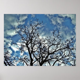 Trees dramatic sky poster