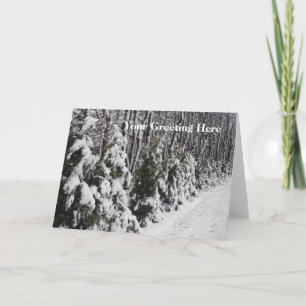 Trees Dressed In Snow Greeting Card