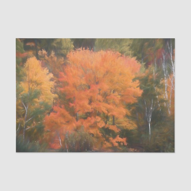 Trees Fall Woodland Forest Orange Yellow Beautiful Tissue Paper (Front)