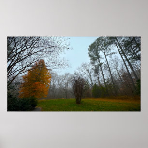 Trees & Fog, Poster