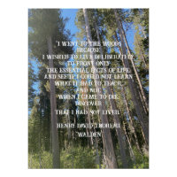 Trees Forest Woods Thoreau