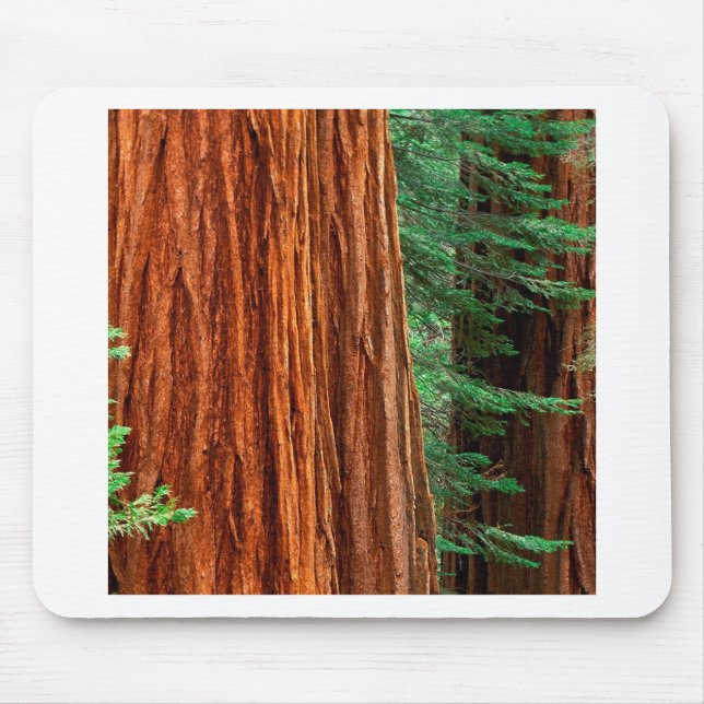 Trees Giant Sequoia Mariposa Grove Yosemite Mouse Pad (Front)