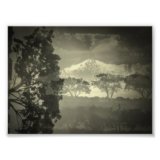 Trees I see. Photo Print (Front)