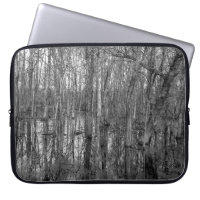 Trees in a forest in black and white. beauty in na