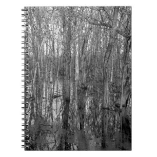 Trees in a forest in black and white. beauty in na notebook