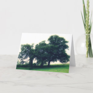 Trees in a Pasture Card