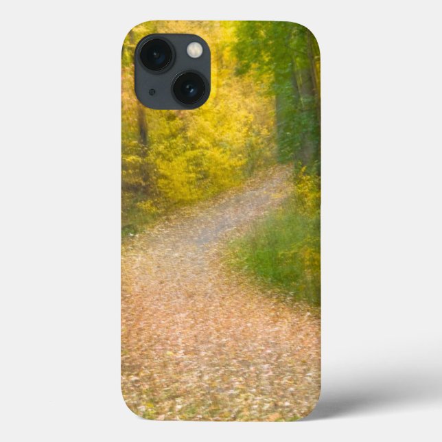 Trees in Autumn Colors and Leaf-Covered Pathway Case-Mate iPhone Case (Back)