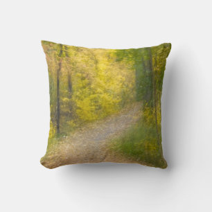 Trees in Autumn Colours and Leaf-Covered Pathway Cushion