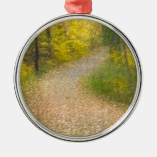 Trees in Autumn Colours and Leaf-Covered Pathway Metal Ornament