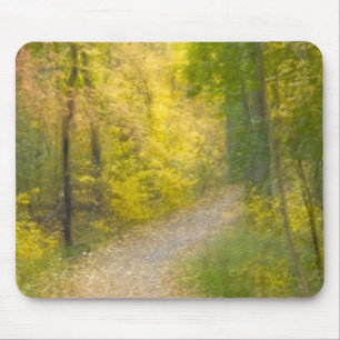 Trees in Autumn Colours and Leaf-Covered Pathway Mouse Pad