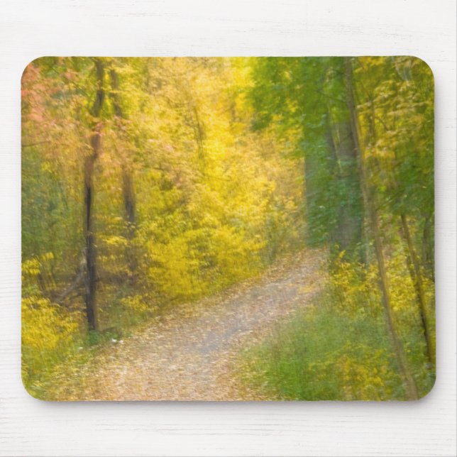 Trees in Autumn Colours and Leaf-Covered Pathway Mouse Pad (Front)