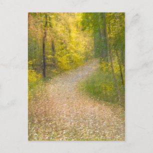 Trees in Autumn Colours and Leaf-Covered Pathway Postcard