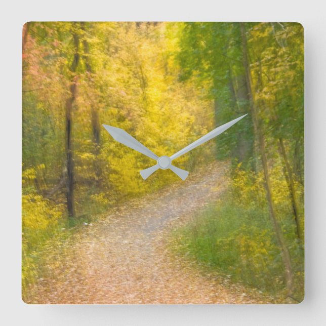 Trees in Autumn Colours and Leaf-Covered Pathway Square Wall Clock (Front)