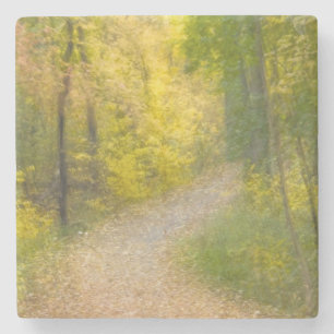 Trees in Autumn Colours and Leaf-Covered Pathway Stone Coaster