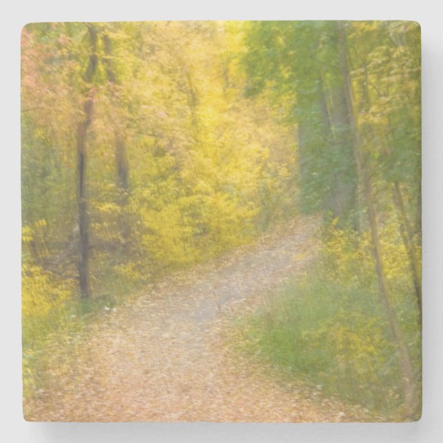 Trees in Autumn Colours and Leaf-Covered Pathway Stone Coaster (Front)
