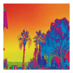 Trees in Cyprus Poster