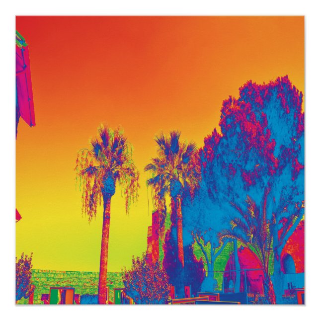 Trees in Cyprus Poster (Front)