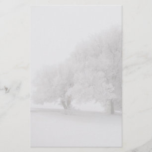 Trees in Fog