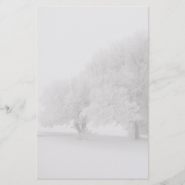 Trees in Fog (Front)