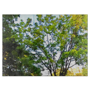 Trees In Ottawa Park. Buy Now Cutting Board