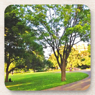 Trees In Ottawa Park. Buy Now Cutting Board Coaster