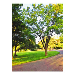 Trees In Ottawa Park. Buy Now Photo Print